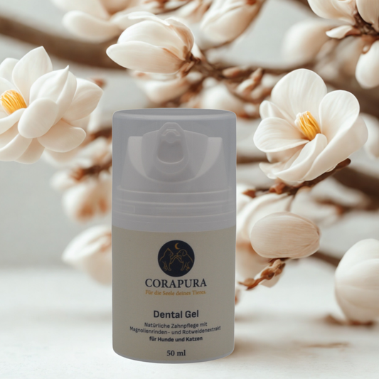 CORAPURA Dental Gel - Sanfte Pflege mit Magnolienrinde (ohne Minze) 50 ml