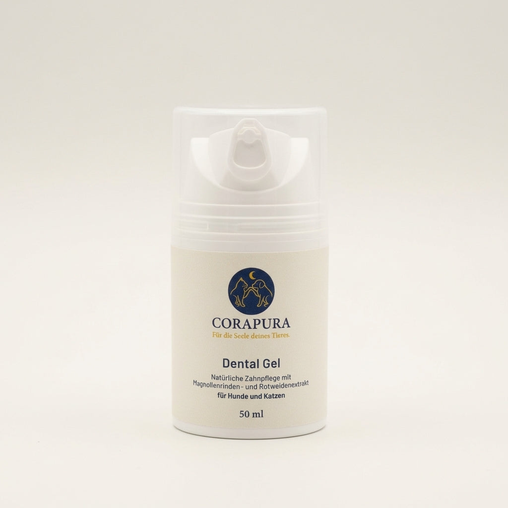 CORAPURA Dental Gel - Sanfte Pflege mit Magnolienrinde (ohne Minze) 50 ml