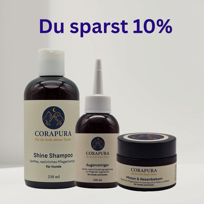 Pfleger-Starter-Set für die tägliche Hundepflege