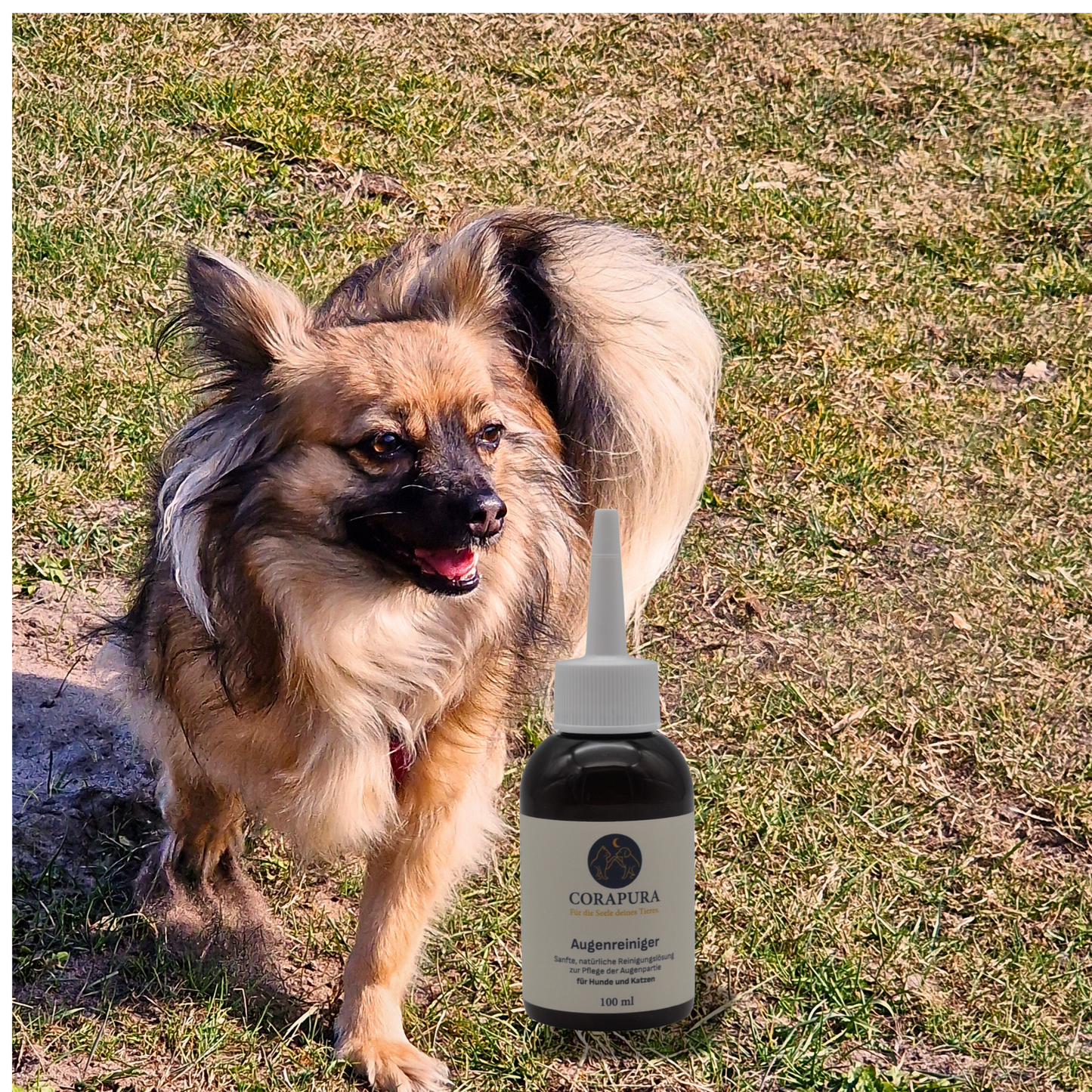 CORAPURA Augenreiniger (Eye Cleaner) für Hunde & Katzen 100 ml