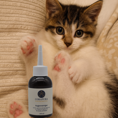 CORAPURA Augenreiniger (Eye Cleaner) für Hunde & Katzen 100 ml