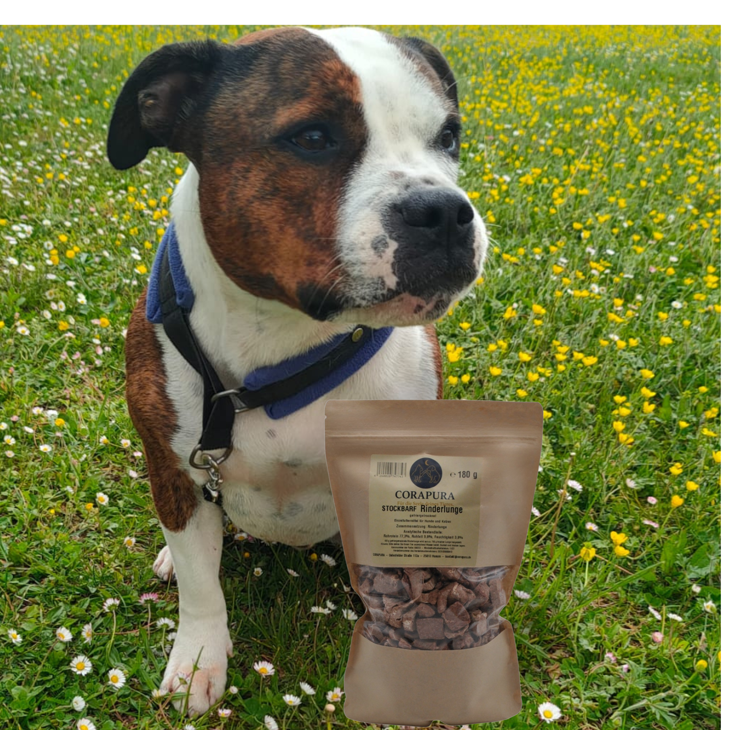 STOCKBARF Rinderlunge  – Natürlicher Snack für Hunde und Katzen (180 g)