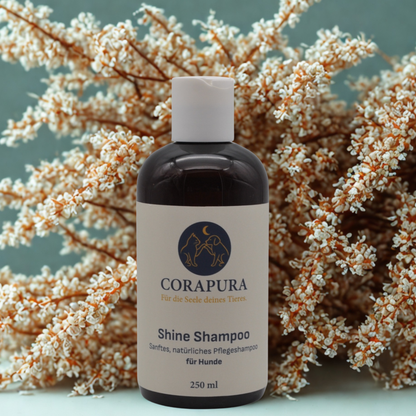CORAPURA Shine Shampoo - sanftes, Pflegeshampoo für Hunde 250 ml