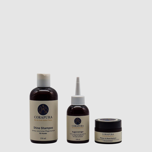 Pfleger-Starter-Set für die tägliche Hundepflege - Du sparst 10%